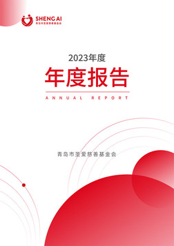 2023青岛市圣爱慈善基金会年报